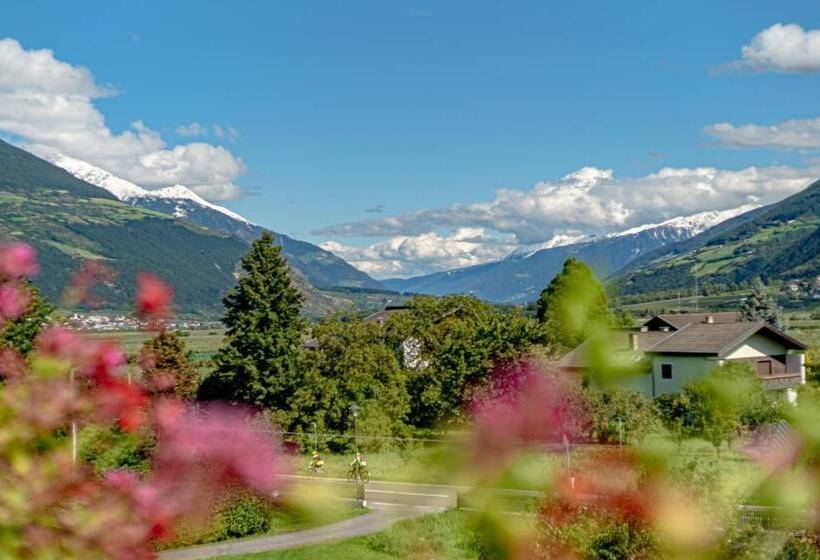 2 Bedrooms Apartment Mountain View, Residence Ortlerhof