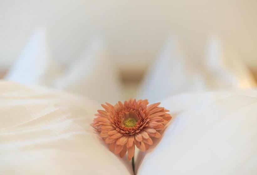 דירת שני חדרים, Residence Ortlerhof