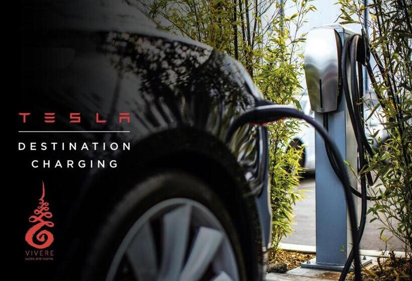 ジュニアスイート, Vivere Suites & Rooms