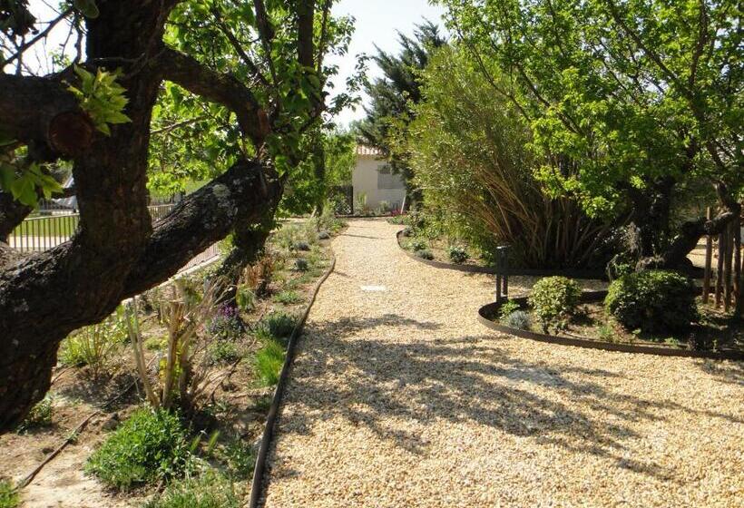 标准工作室, Domaine Du Mas Foucray