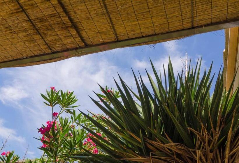 标准工作室, Domaine Du Mas Foucray