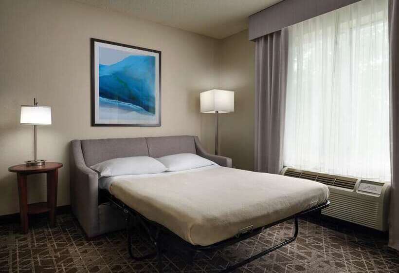 סוויטה, Home2 Suites By Hilton Williamsville Buffalo Airport