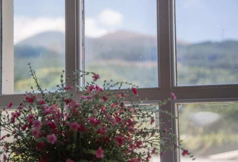 غرفة سوبيريور بالطابق الأرضى, The Haven