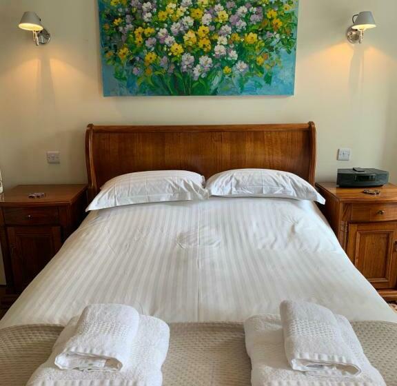 스탠다드 룸 킹사이즈 침대, Borthwnog Hall