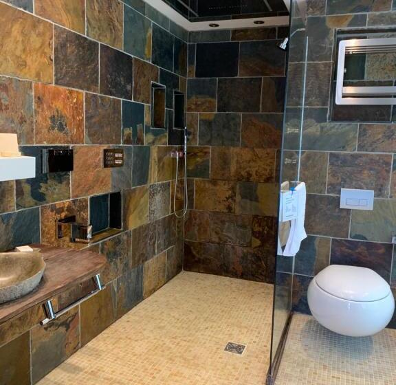 디럭스 스위트 킹 침대, Borthwnog Hall