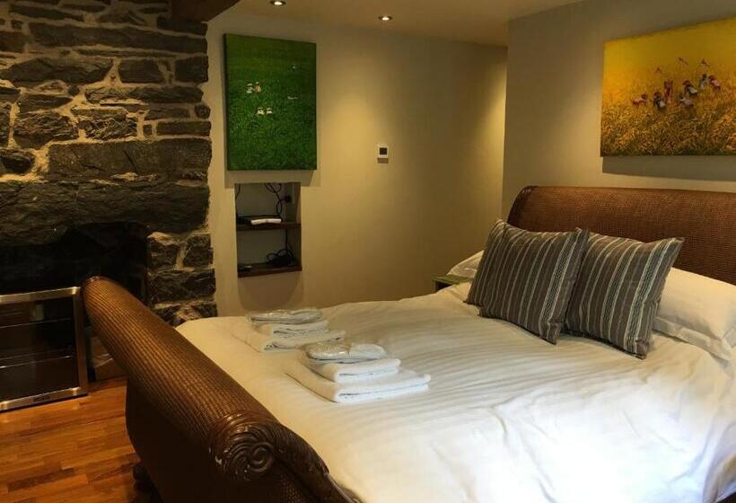 침실 1개 아파트, Borthwnog Hall