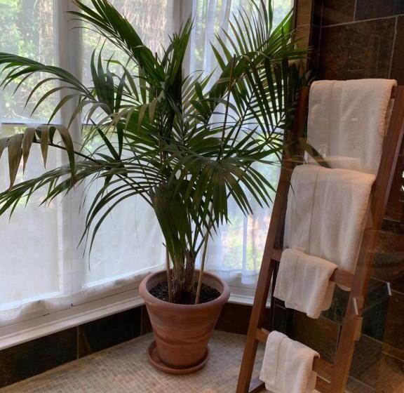 디럭스 스위트 킹 침대, Borthwnog Hall