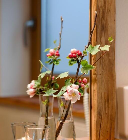 Номер Стандарт с Террасой, Steinberger Hof