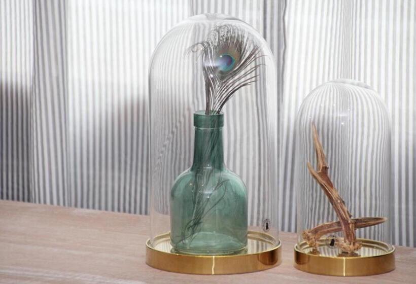 スタンダードシングルルーム, Pension Kupferkanne