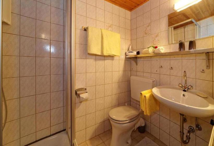 Апартаменты 1 Спальня, Berghof Pension Und Ferienwohnungen