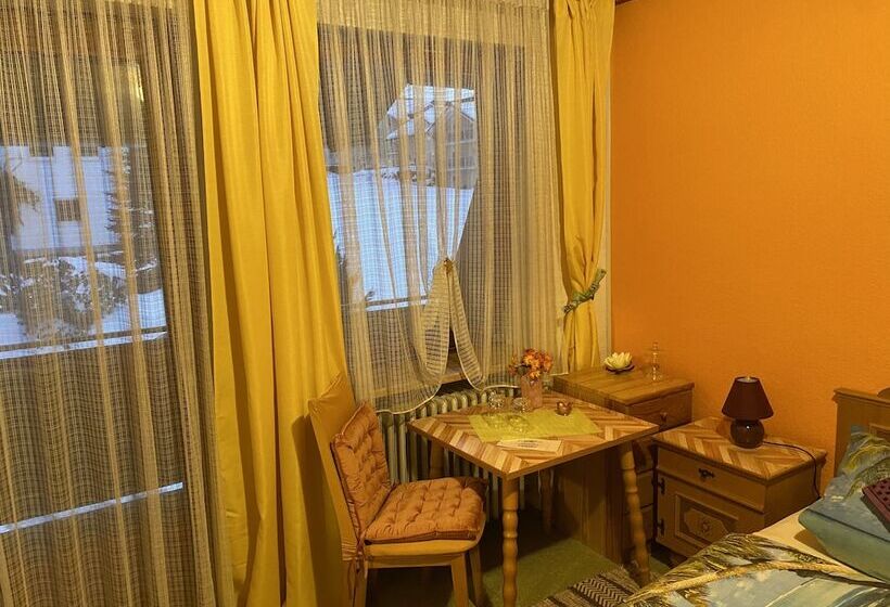 스탠다드 발코니 룸, Pension Waldblick