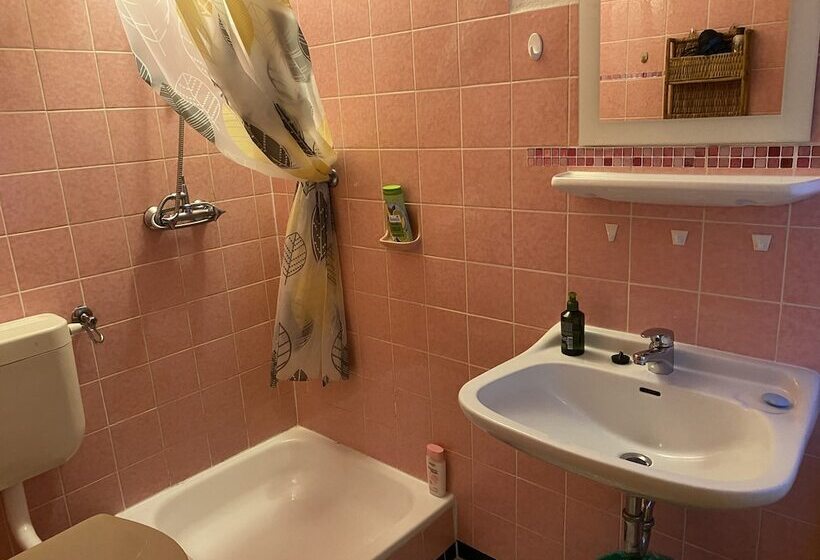 스탠다드 룸 산 전망, Pension Waldblick