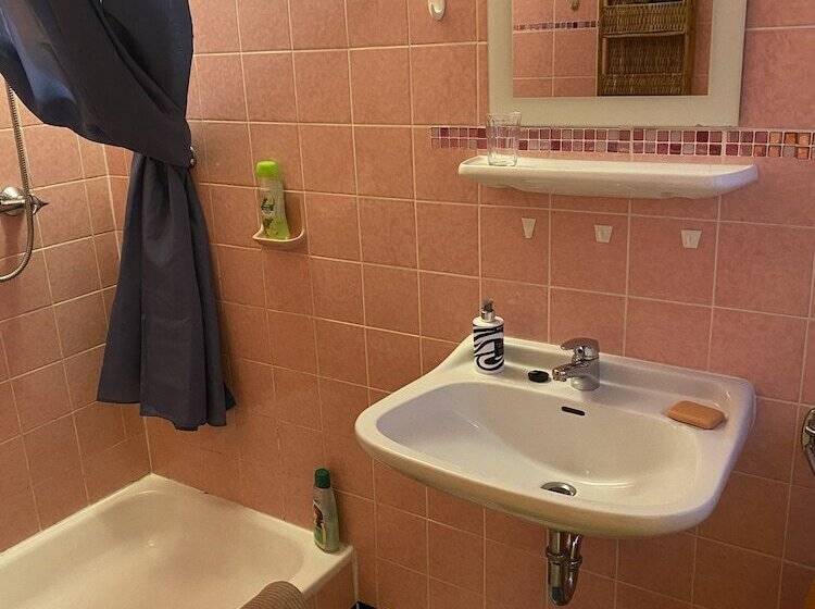 스탠다드 룸 산 전망, Pension Waldblick