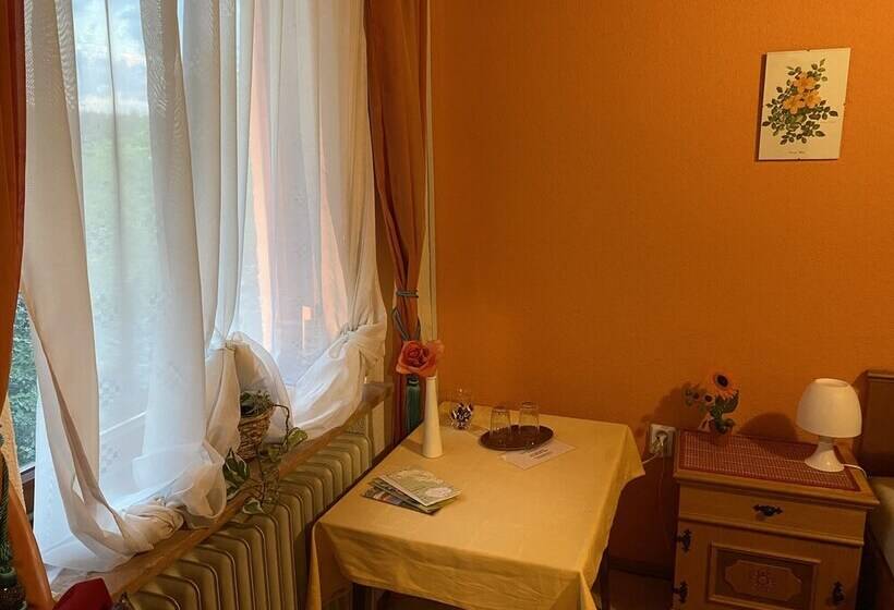 스탠다드 룸 산 전망, Pension Waldblick