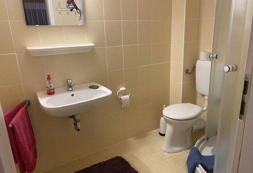 디럭스 룸 산전망, Pension Waldblick