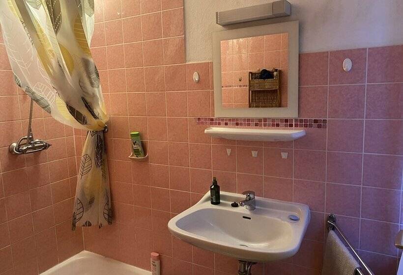 스탠다드 발코니 룸, Pension Waldblick