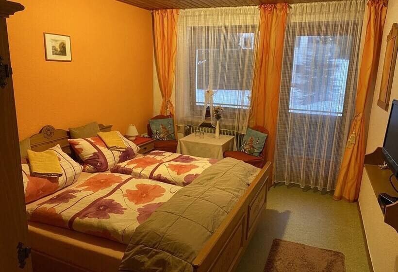 스탠다드 발코니 룸, Pension Waldblick