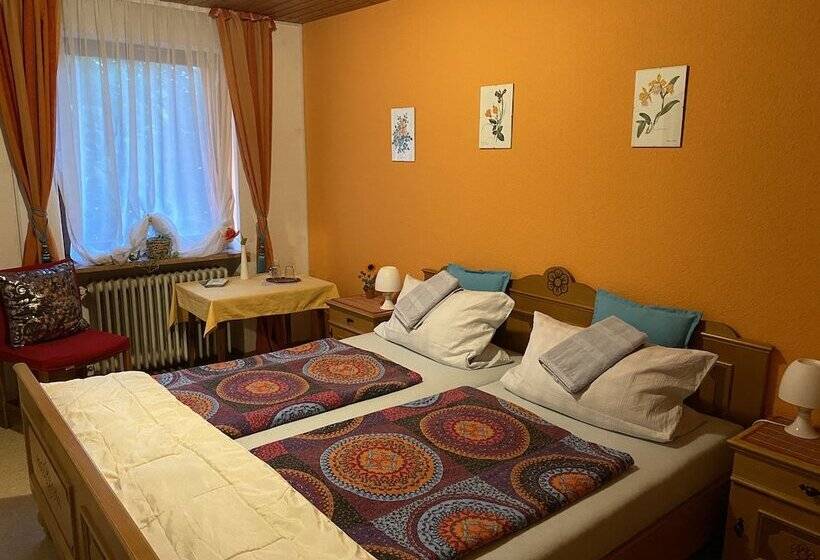 스탠다드 룸 산 전망, Pension Waldblick