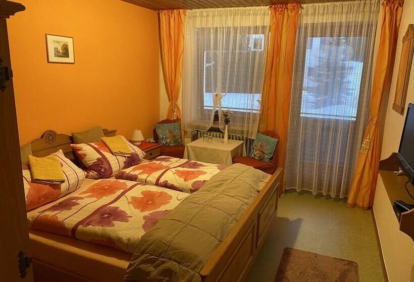 스탠다드 발코니 룸, Pension Waldblick