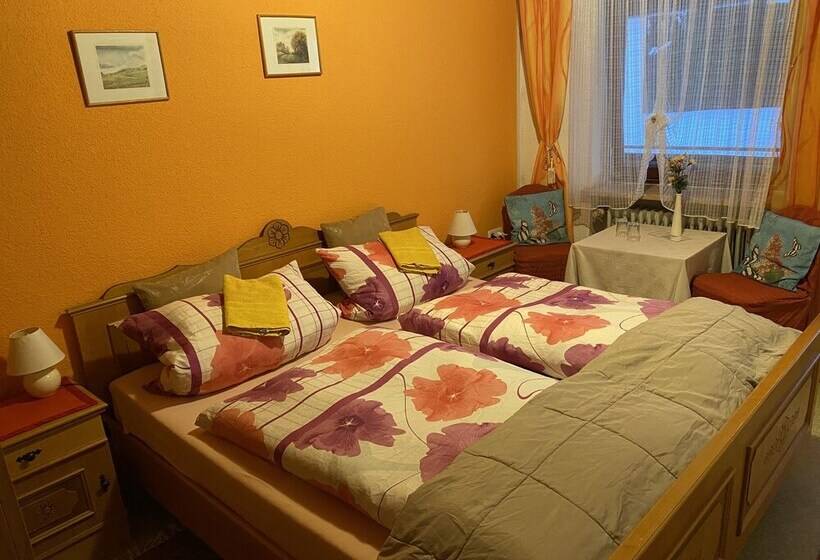 스탠다드 발코니 룸, Pension Waldblick