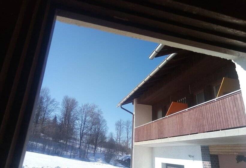 스탠다드 발코니 룸, Pension Waldblick