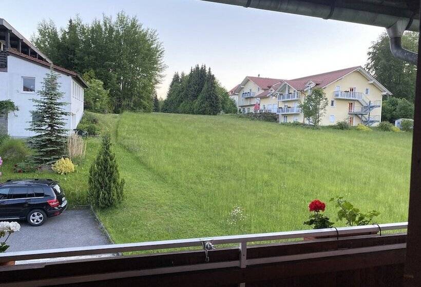 스탠다드 발코니 룸, Pension Waldblick