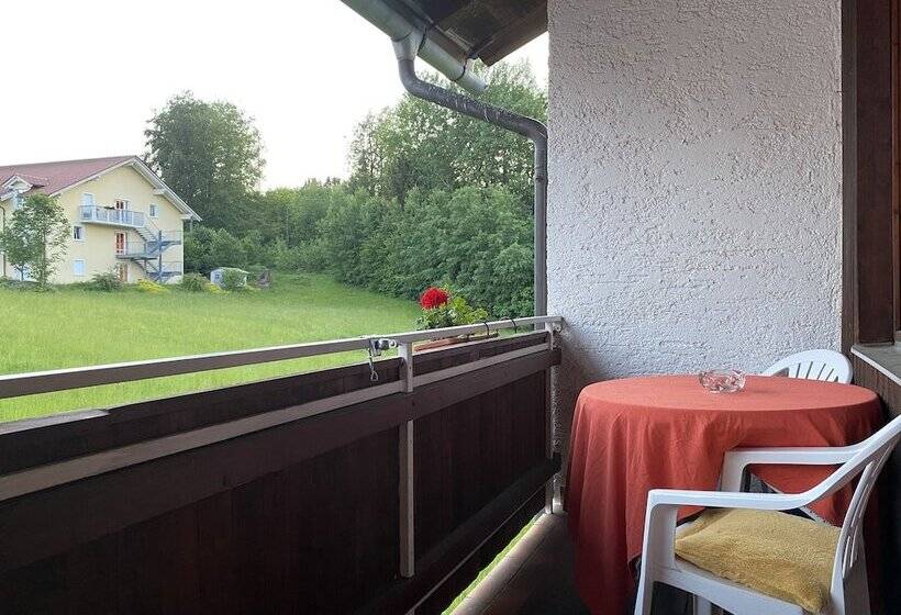 Номер Стандарт с Балконом, Pension Waldblick