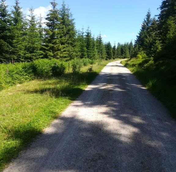 스탠다드 룸, Landhaus Enztalperle