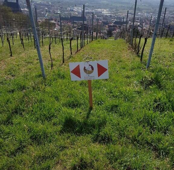 이코노미 룸, Boardinghouse Alte Bank