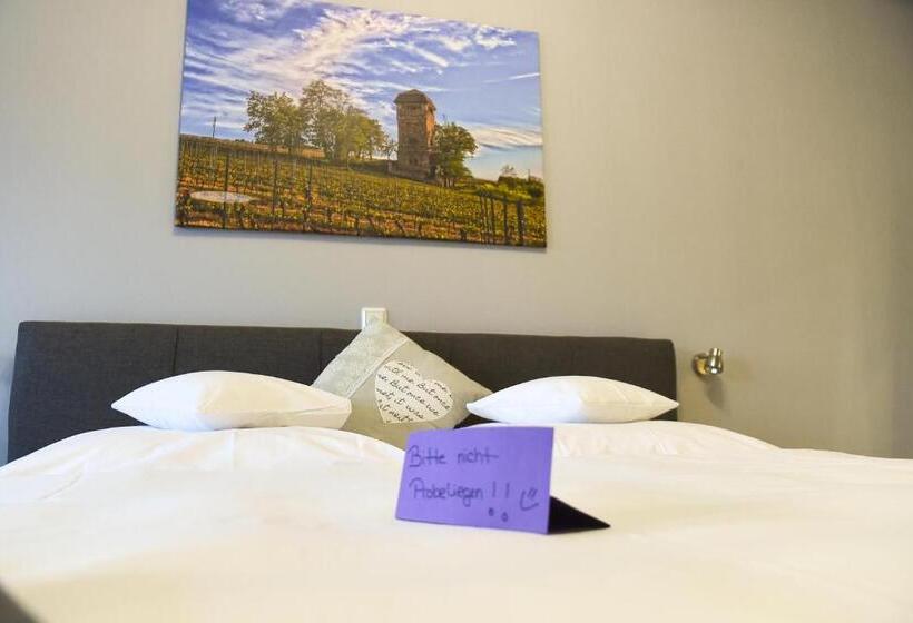 Номер Deluxe, Boardinghouse Alte Bank