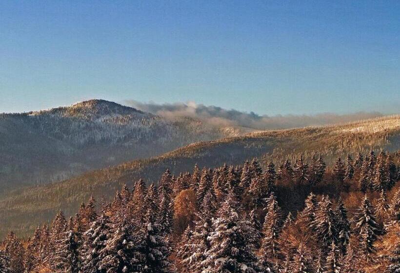 חדר סטנדרט לשלושה, Berggasthof Lusen