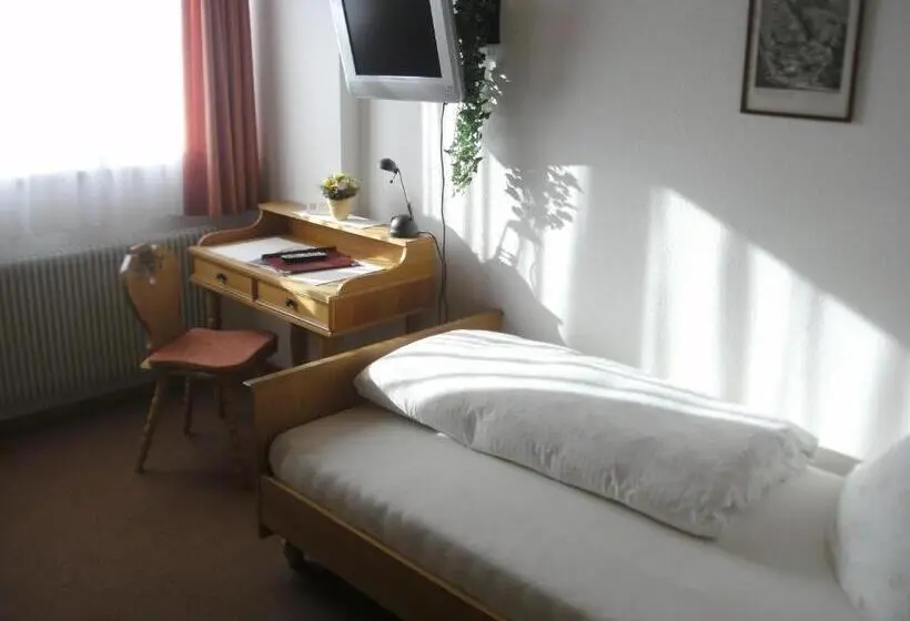 Standard Single Room, Gasthof Hosbein