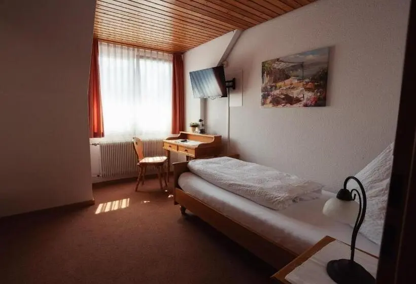 Standard Single Room, Gasthof Hosbein