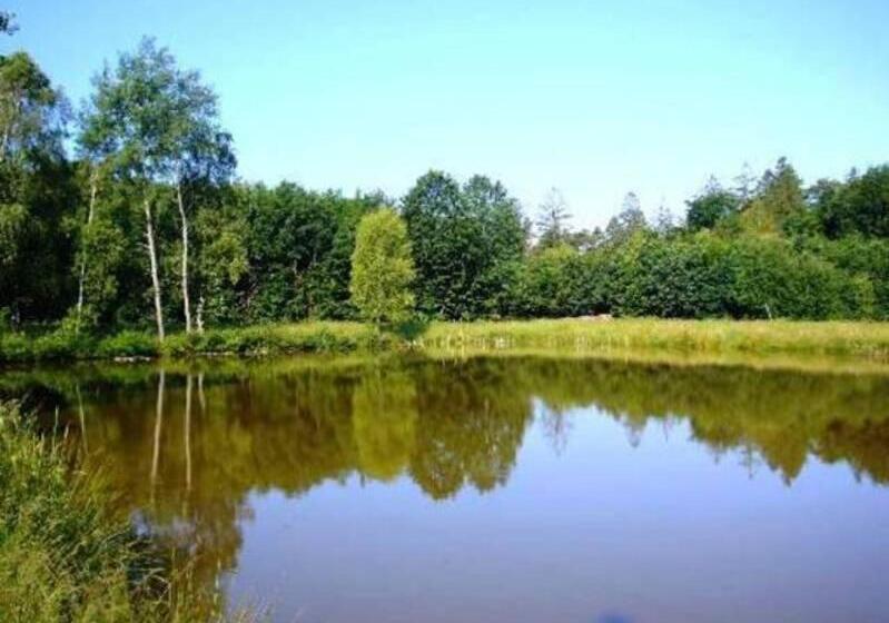 חדר סטנדרט, Gasthaus Pension Zum Brandweiher