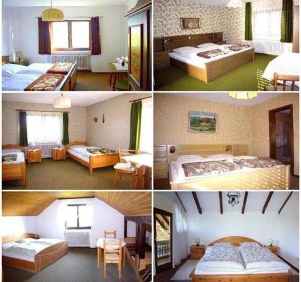 חדר דלוקס, Gasthaus Pension Zum Brandweiher