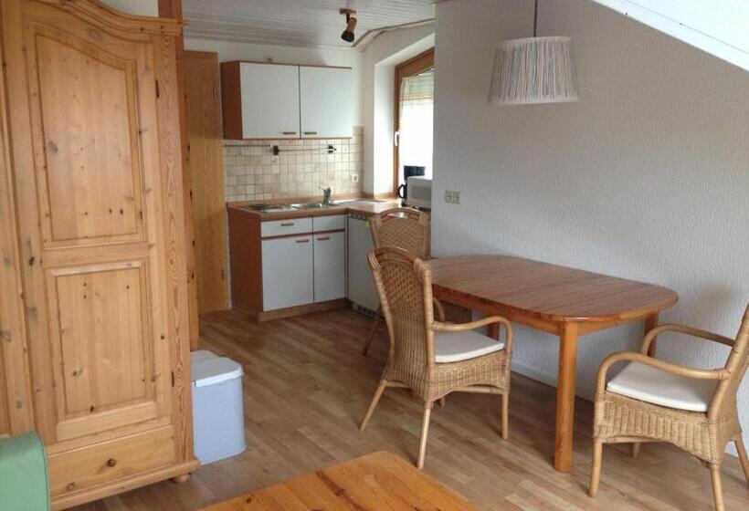 スタンダードスタジオ, Gästehaus Schechter