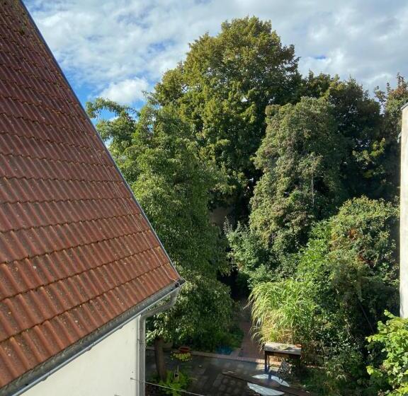 수피리어 룸, Birnbom Warnemünde