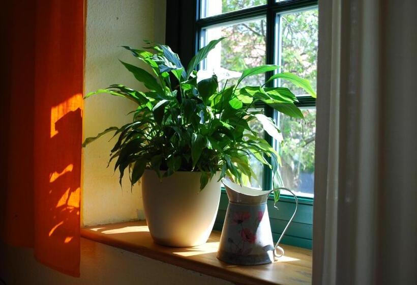 1间卧室的房子, Haus Grüne Idylle