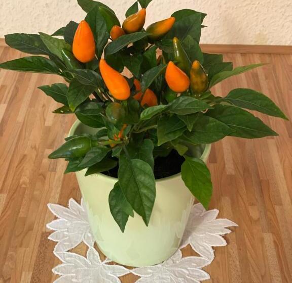 1间卧室的房子, Haus Grüne Idylle