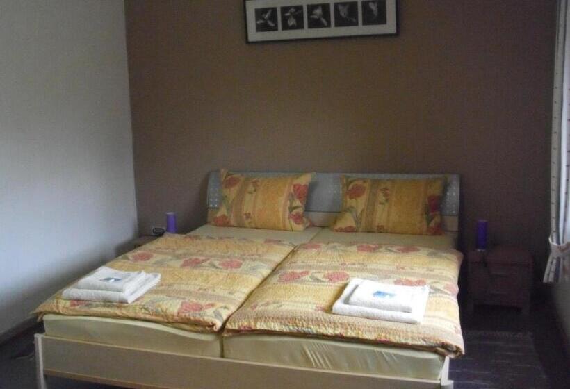 スタンダードルーム, Pension Ackermann