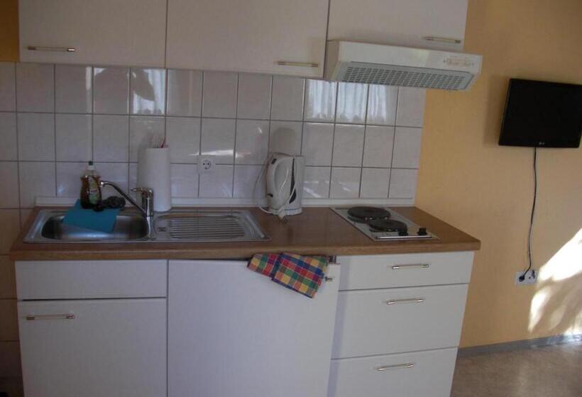 Апартаменты 1 Спальня, Pension Wiesenau