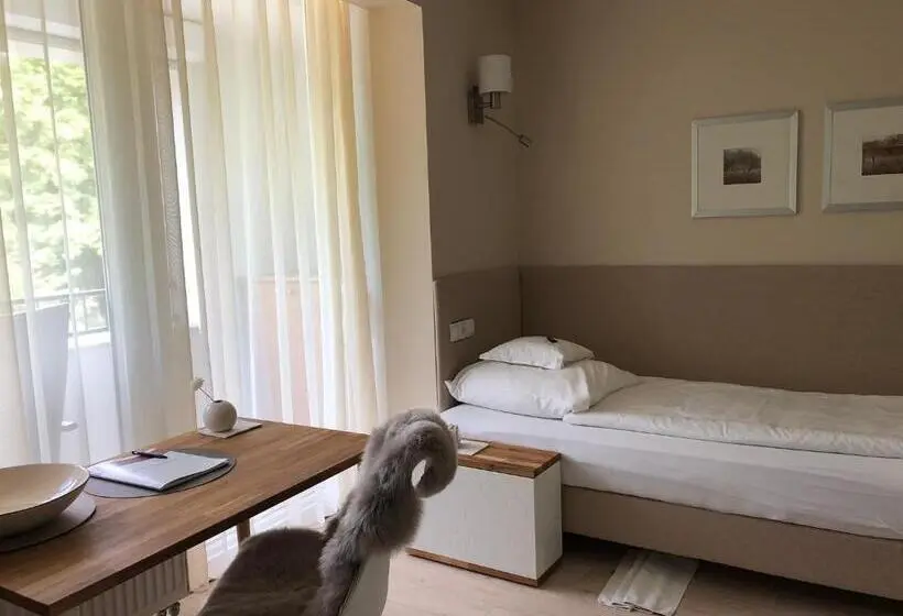 اتاق سوپریور یک تخته, Aparthotel Christine