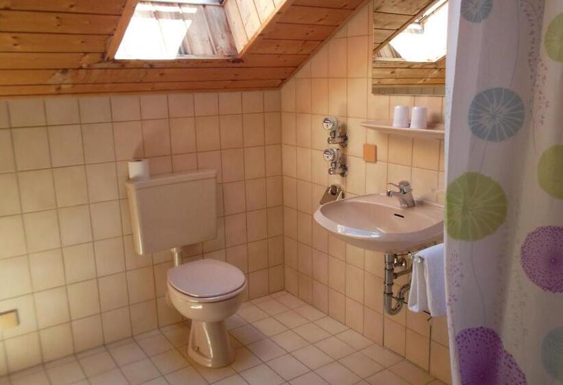 带1个卧室的公寓, Aparthotel Zwiesel