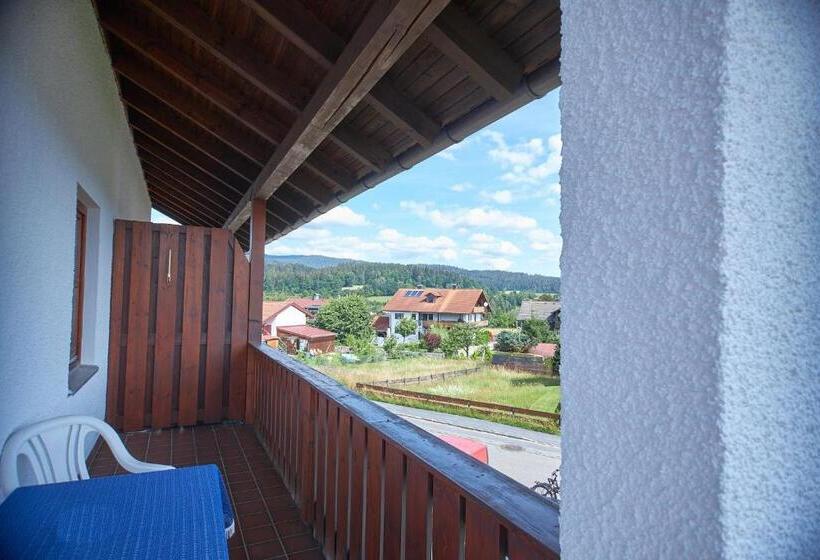 Апартаменты 1 Спальня, Aparthotel Zwiesel