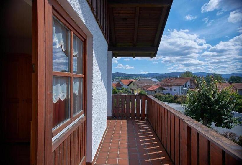 带1个卧室的公寓, Aparthotel Zwiesel