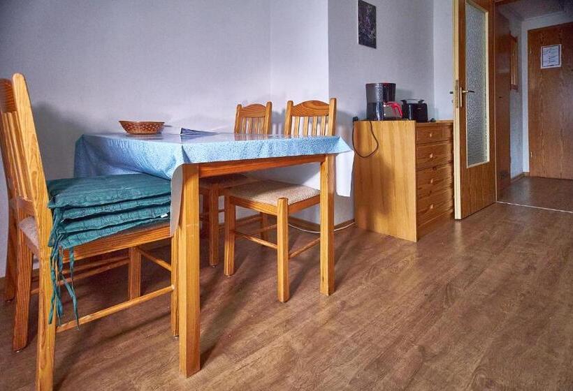 Апартаменты 1 Спальня с Балконом, Aparthotel Zwiesel
