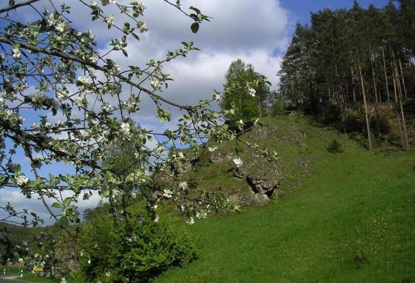 Апартаменты 2 Спальни, Natur Aktiv Hof Thiem