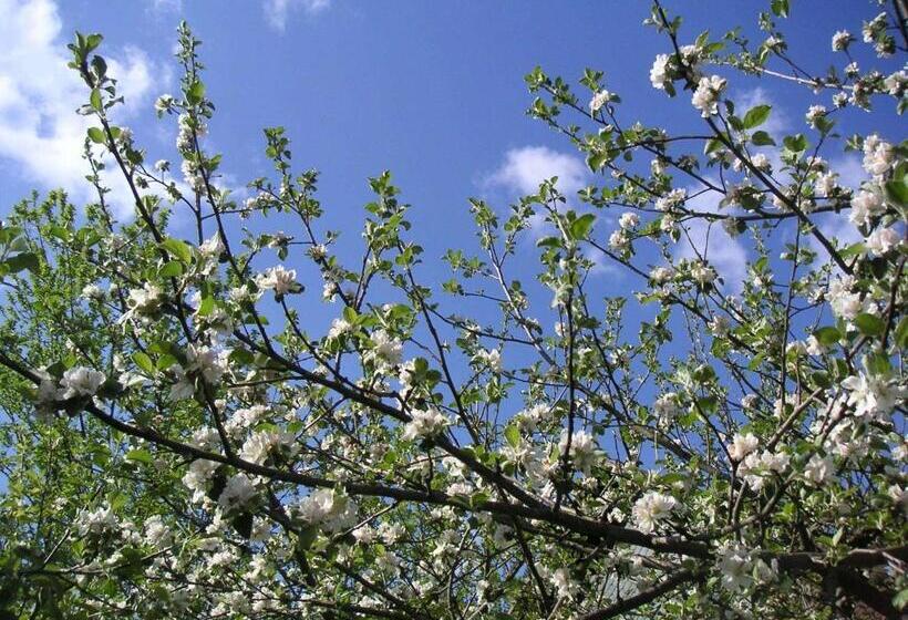 Апартаменты 1 Спальня, Natur Aktiv Hof Thiem