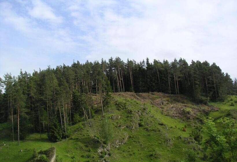 Апартаменты 1 Спальня, Natur Aktiv Hof Thiem