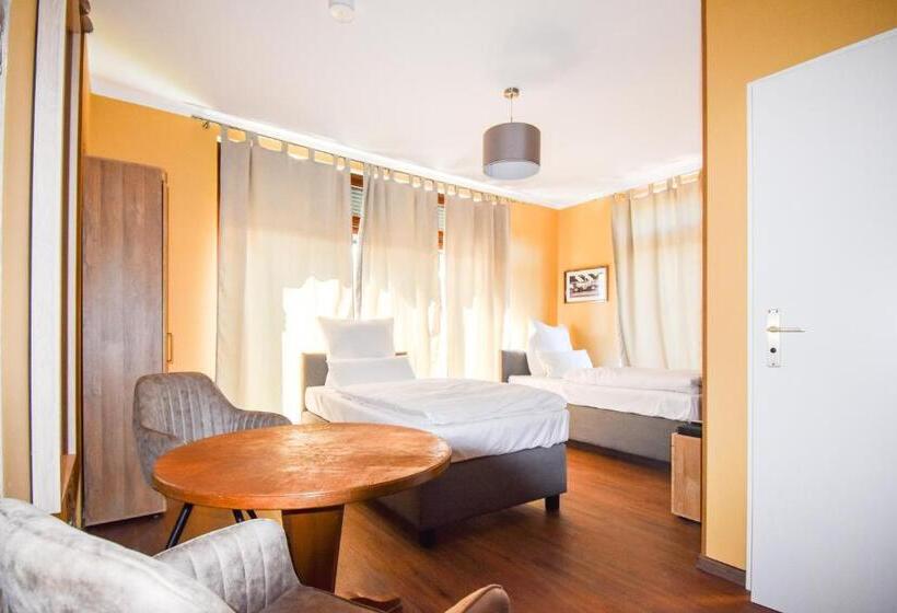 اتاق استاندارد برای معلولان, Boutique Hotel Sena